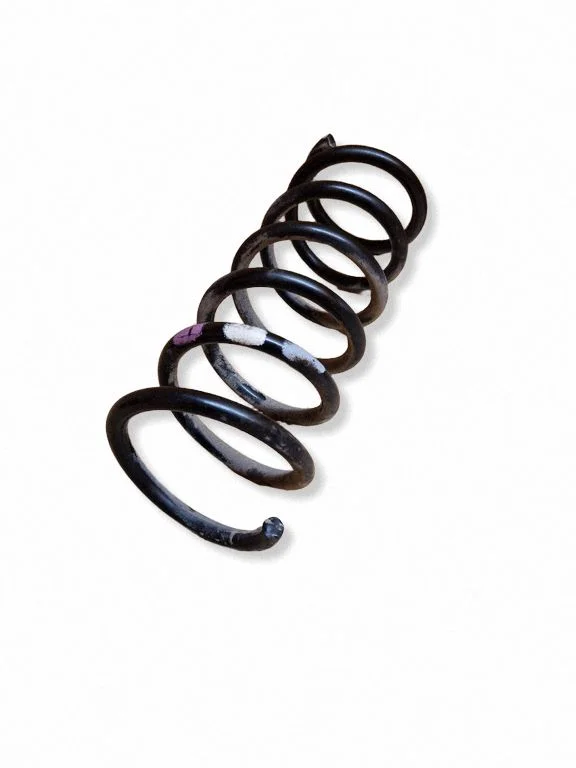 Rear coil spring