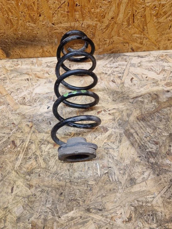 Rear coil spring