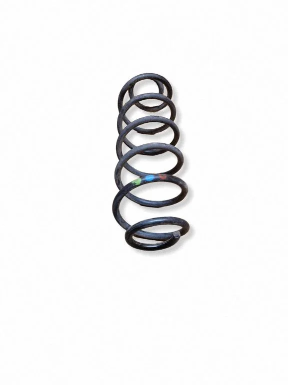 Rear coil spring