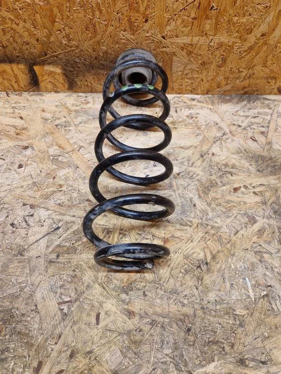 Rear coil spring