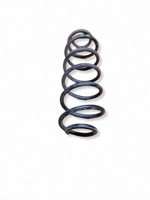 Rear coil spring