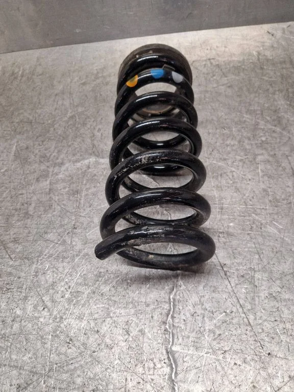 Rear coil spring