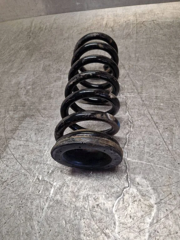 Rear coil spring