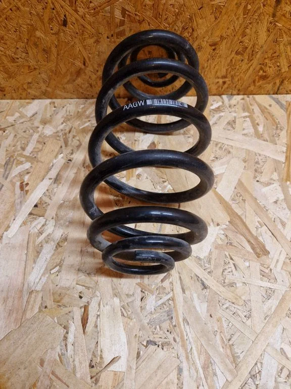 Rear coil spring