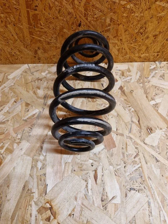 Rear coil spring