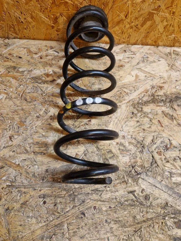 Rear coil spring