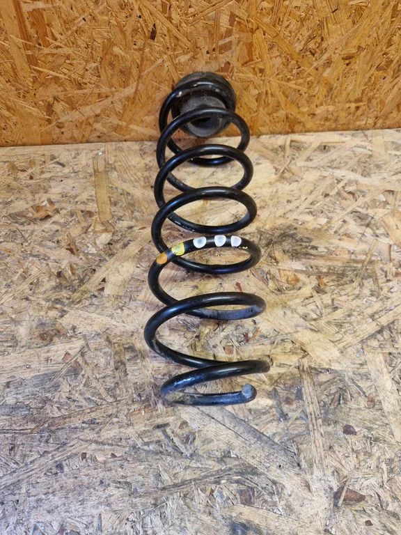 Rear coil spring