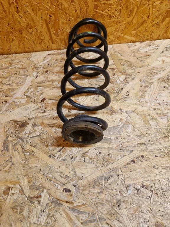Rear coil spring