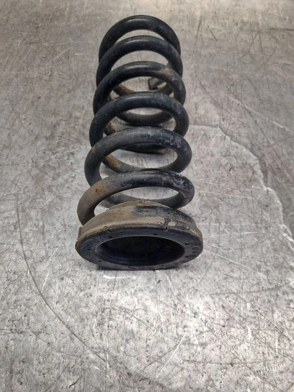 Rear coil spring