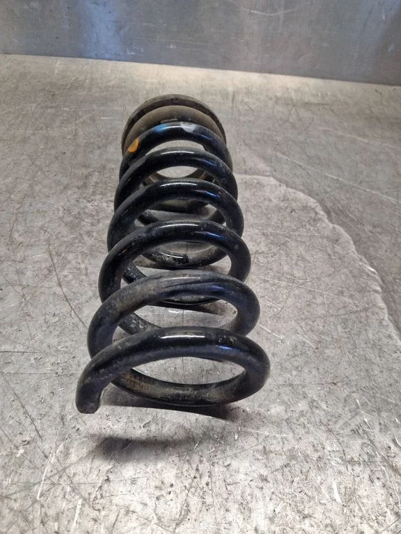 Rear coil spring