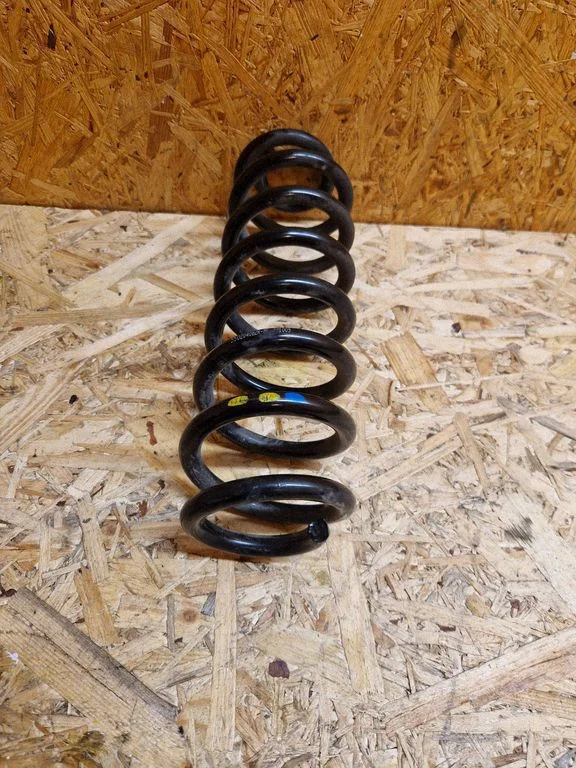 Rear coil spring