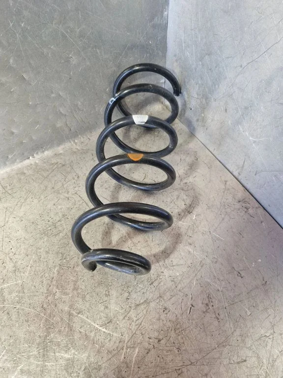 Rear coil spring