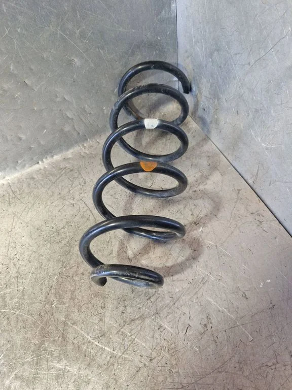 Rear coil spring