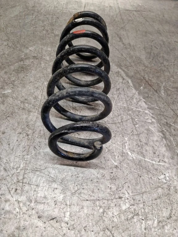 Rear coil spring