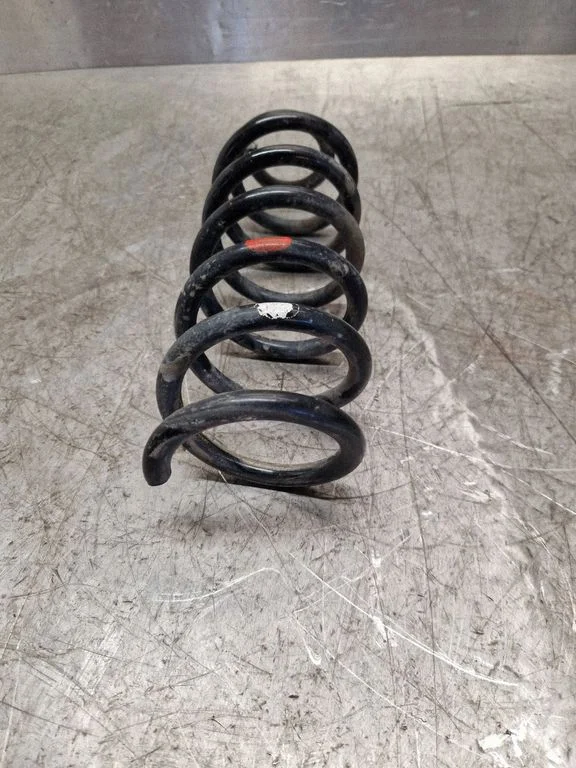 Rear coil spring