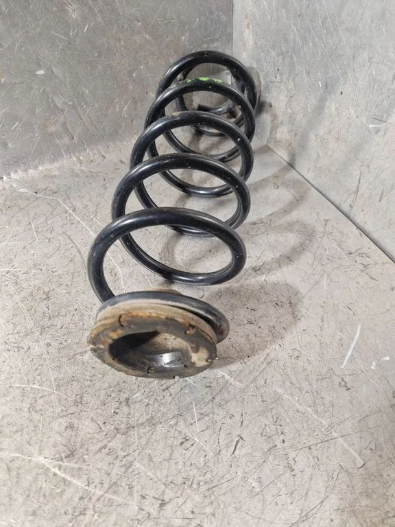 Rear coil spring