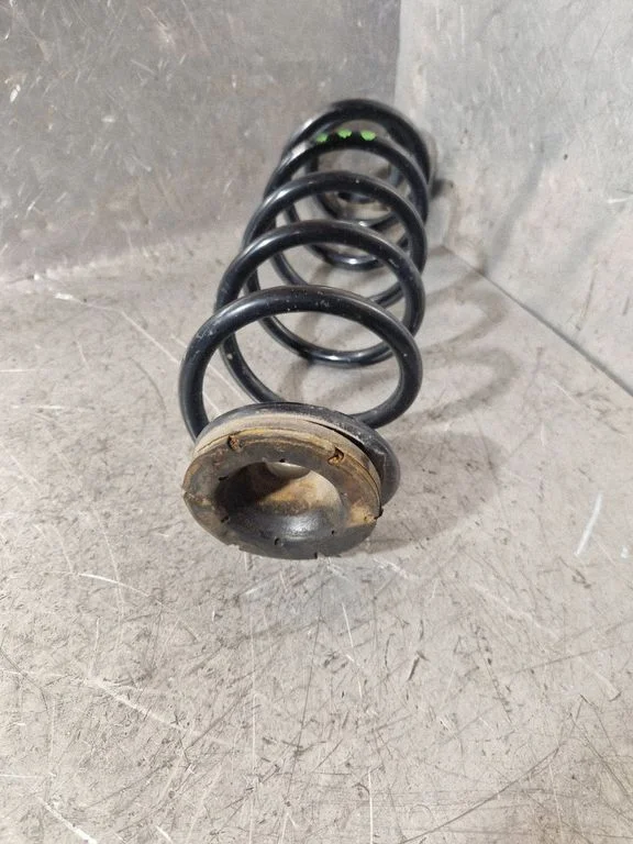 Rear coil spring