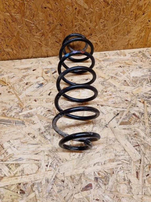 Rear coil spring