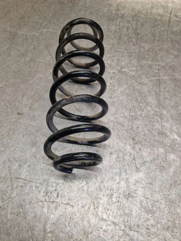 Rear coil spring