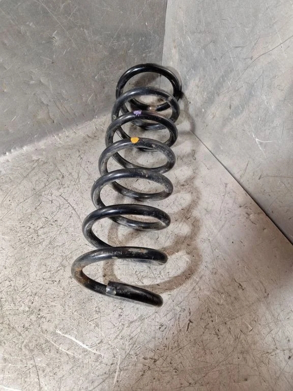 Rear coil spring