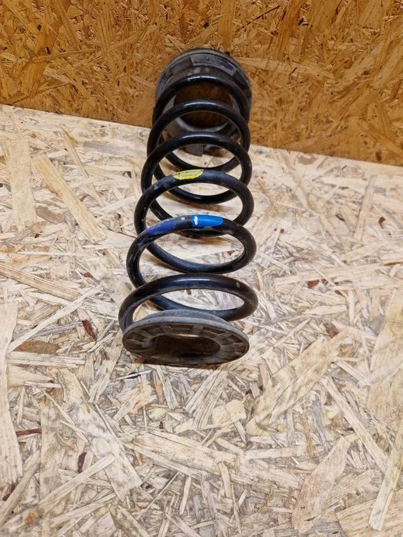 Rear coil spring