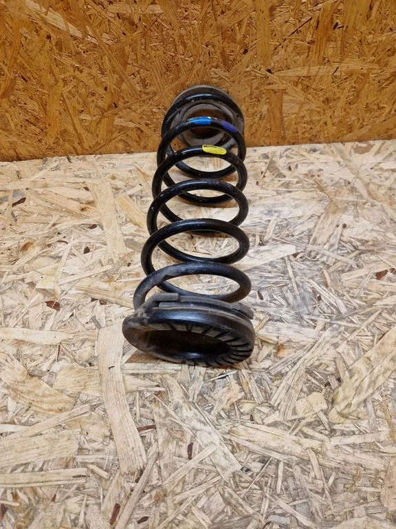 Rear coil spring