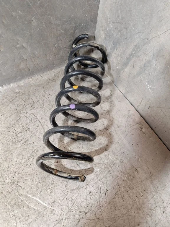 Rear coil spring