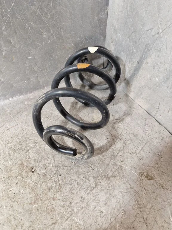 Rear coil spring
