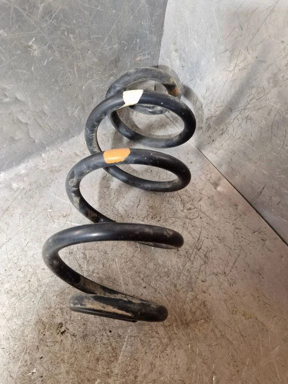 Rear coil spring