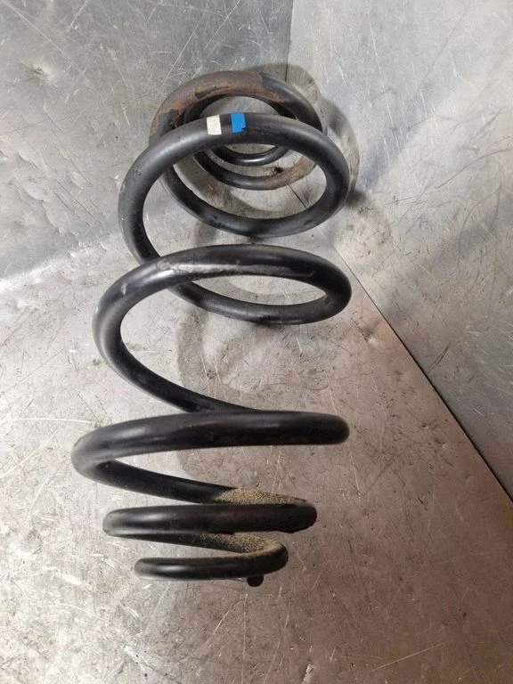 Rear coil spring