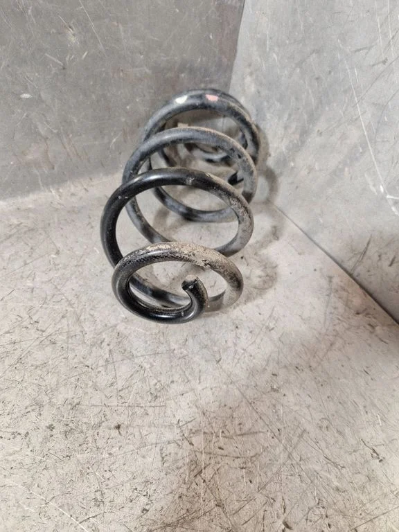 Rear coil spring