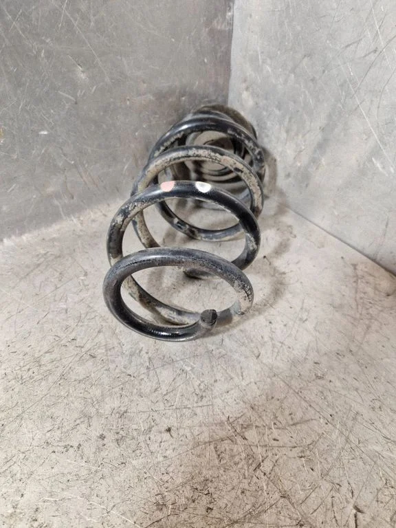 Rear coil spring