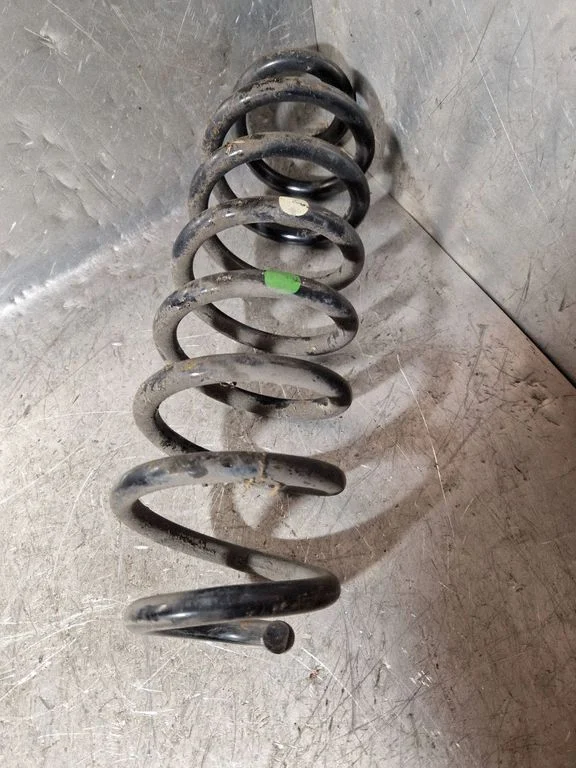 Rear coil spring