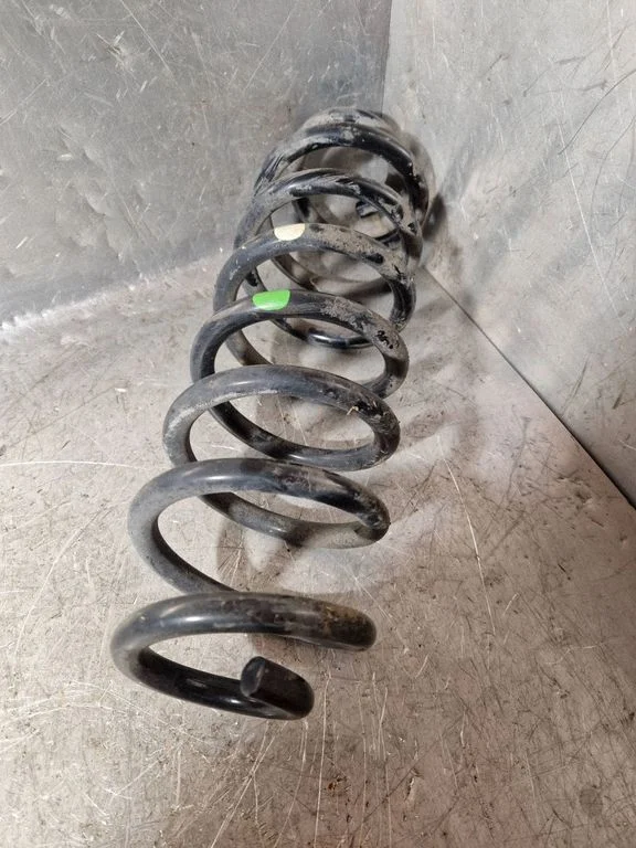 Rear coil spring