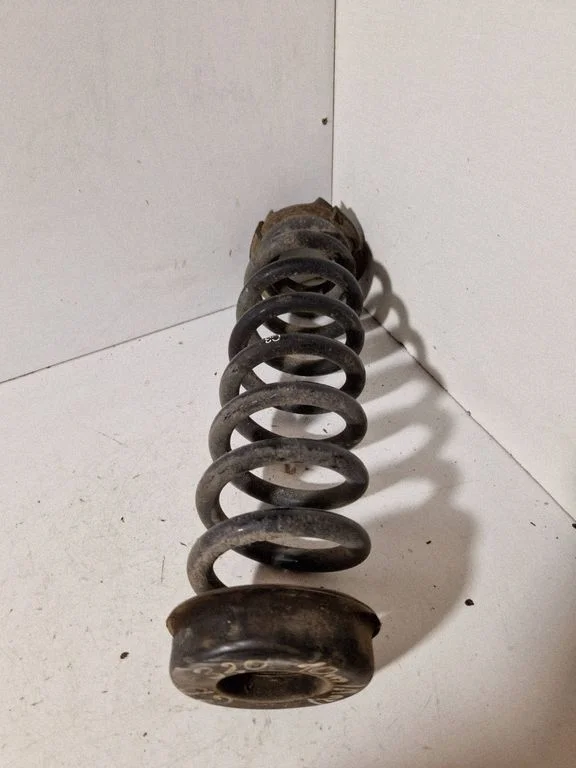 Rear coil spring