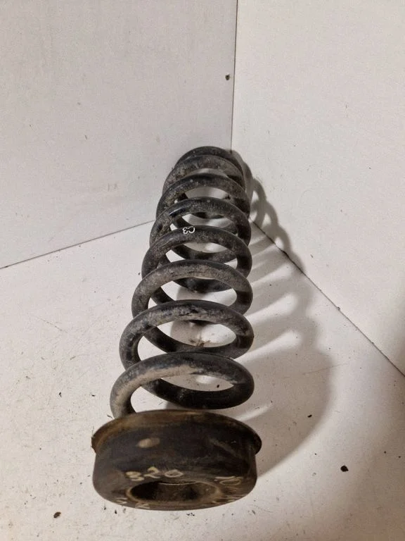 Rear coil spring