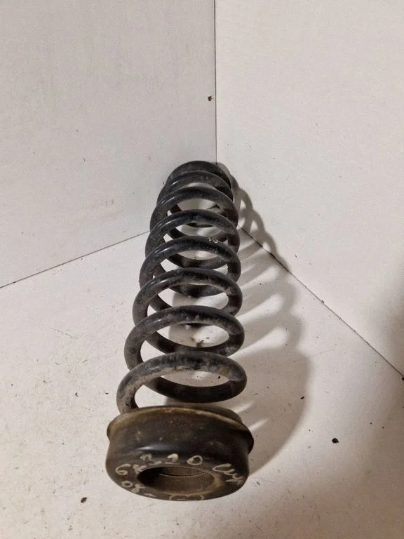 Rear coil spring