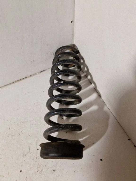 Rear coil spring