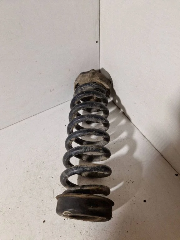 Rear coil spring