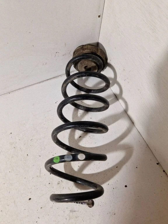 Rear coil spring