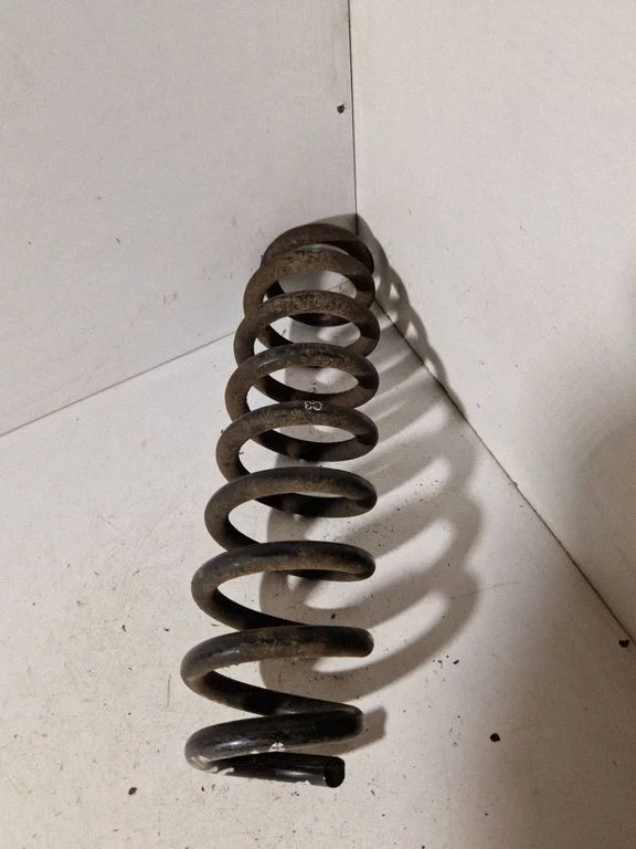 Rear coil spring