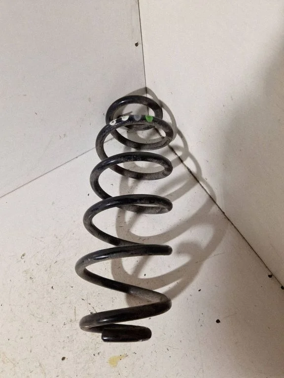 Rear coil spring