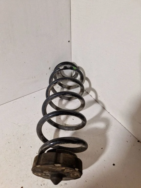 Rear coil spring