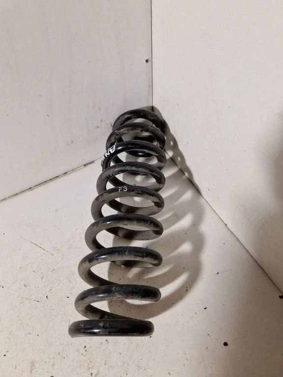 Rear coil spring