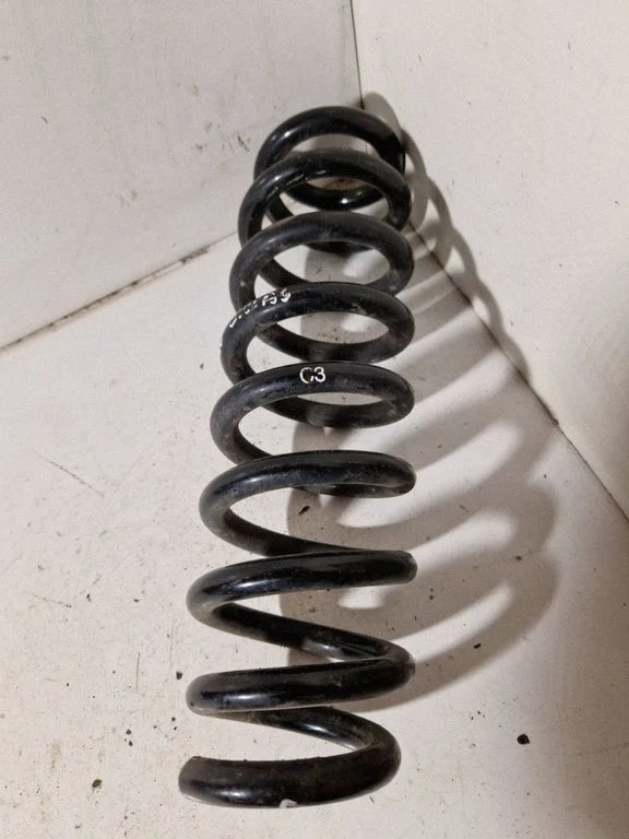 Rear coil spring
