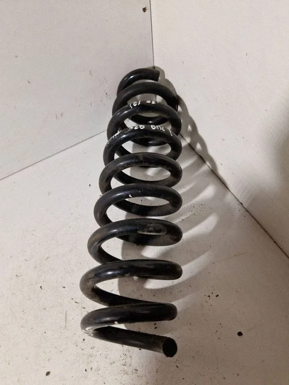 Rear coil spring