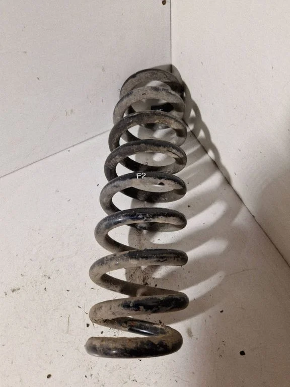 Rear coil spring