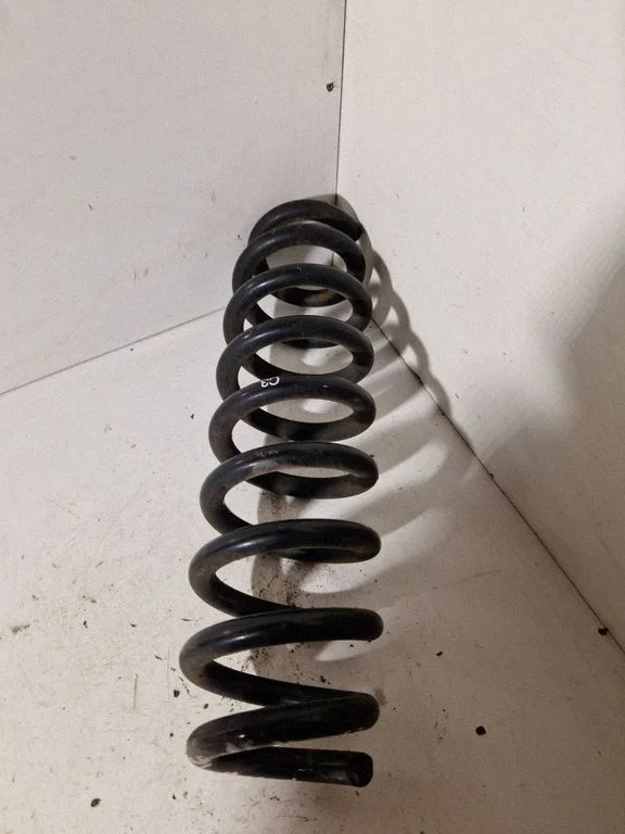 Rear coil spring