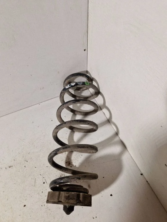 Rear coil spring