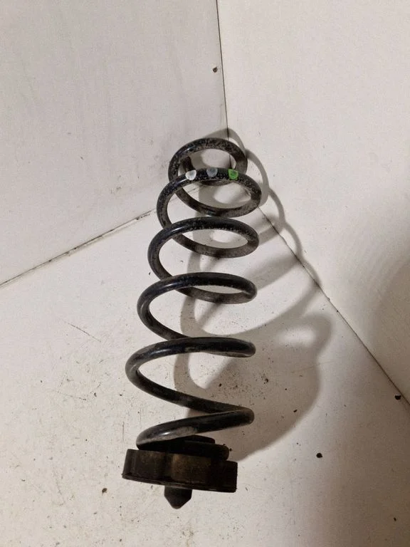 Rear coil spring